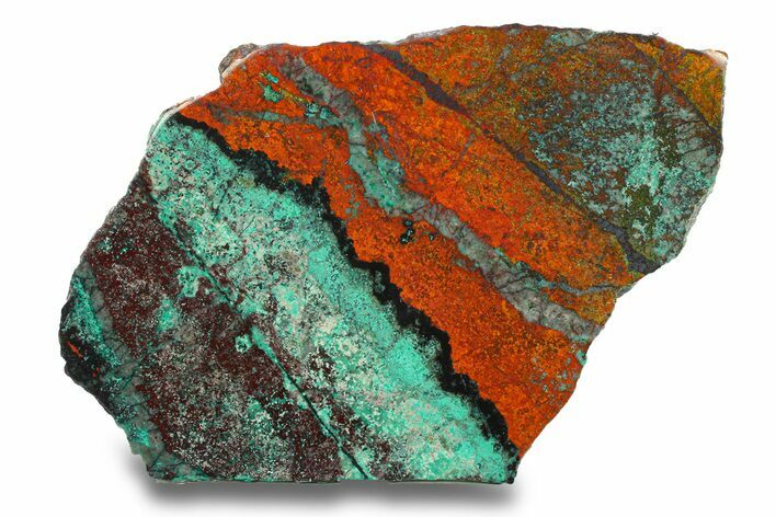 Colorful Sonora Sunset (Chrysocolla Cuprite) Slab - Mexico #280562